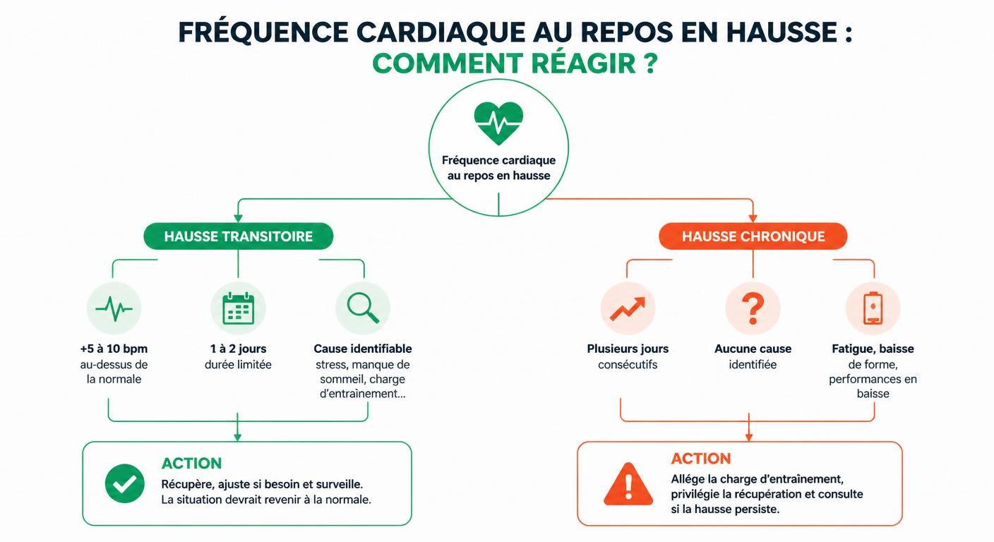 Arbre de décision pour différencier une fréquence cardiaque de repos en hausse ponctuelle ou chronique