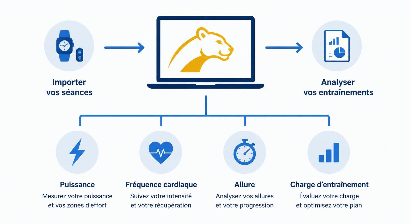 Infographie expliquant les fonctions principales du logiciel Golden Cheetah