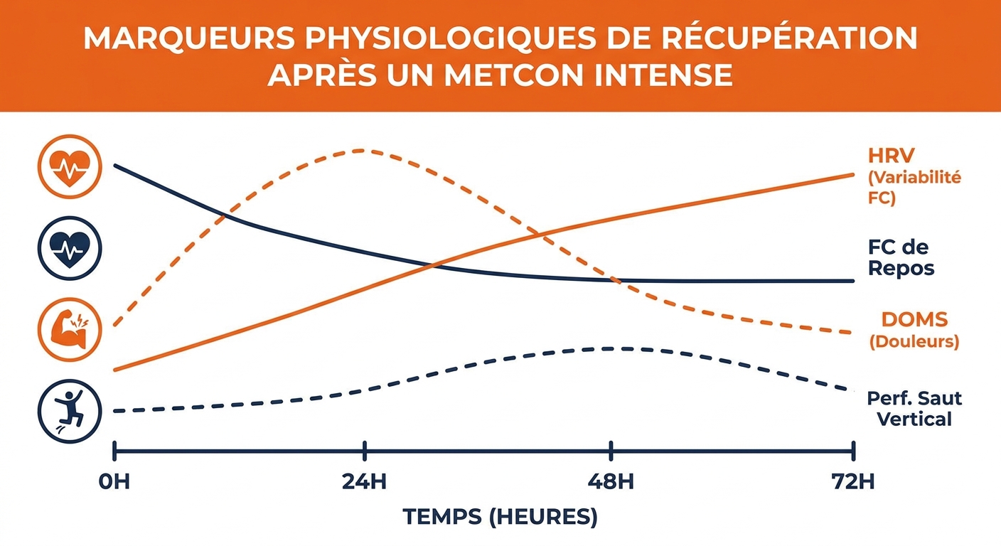 Timeline des marqueurs de recuperation apres un metcon