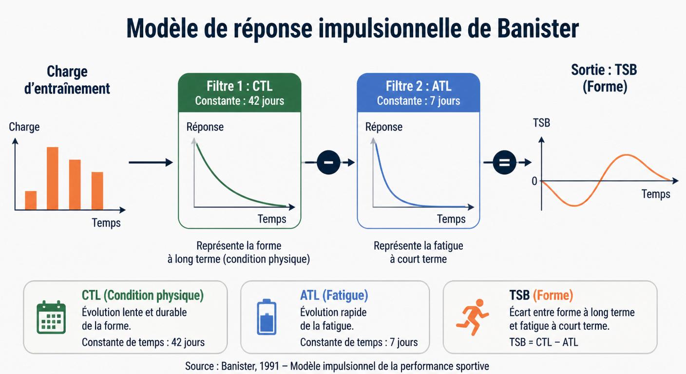 Schéma du modèle Banister avec constantes 42 jours et 7 jours appliqué à Strava